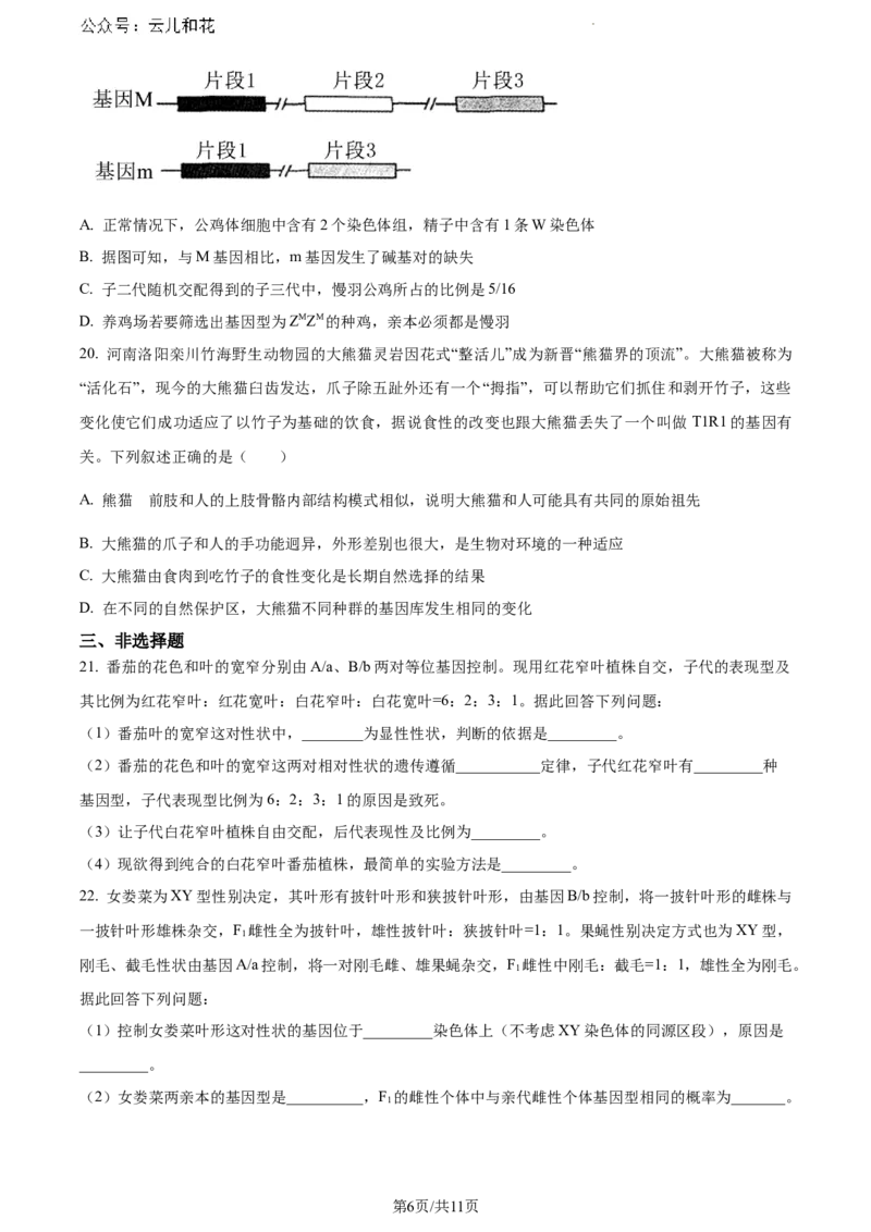 河南省漯河市2023-2024学年高一下学期期末质量监测生物试题_2024-2025高一（7-7月题库）_2024年8月试卷_0811河南省漯河市2023-2024学年高一下学期期末质量监测