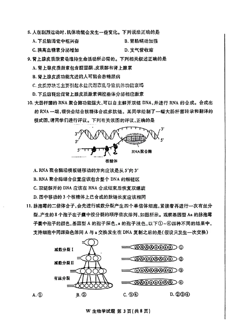 安徽生物（无答案）(1)_2024年2月_2024年九省联考各版本合集_安徽（物化生政史地）
