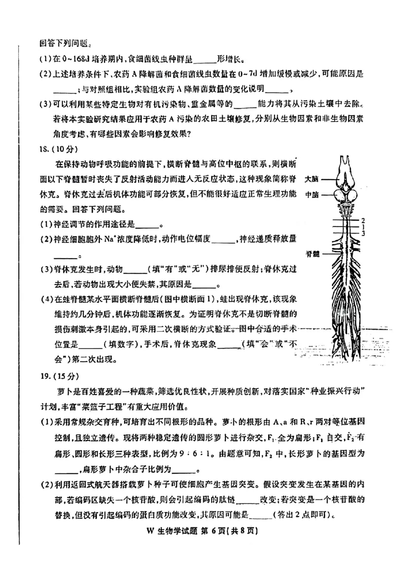 安徽生物（无答案）(1)_2024年2月_2024年九省联考各版本合集_安徽（物化生政史地）