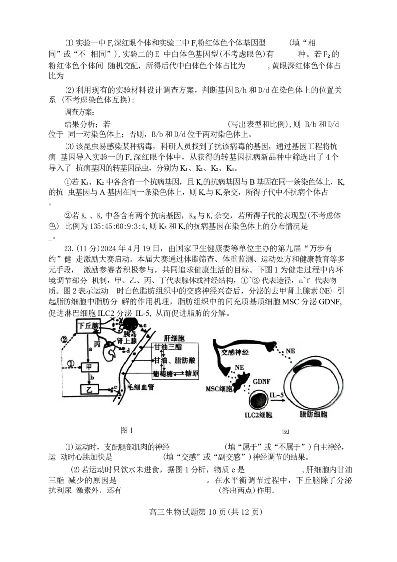 山东省泰安市2024年(届)高三年级四轮检测(泰安四模)生物试卷+答案(1)_2024年5月_025月合集_2024届山东省泰安市高三年级四轮检测