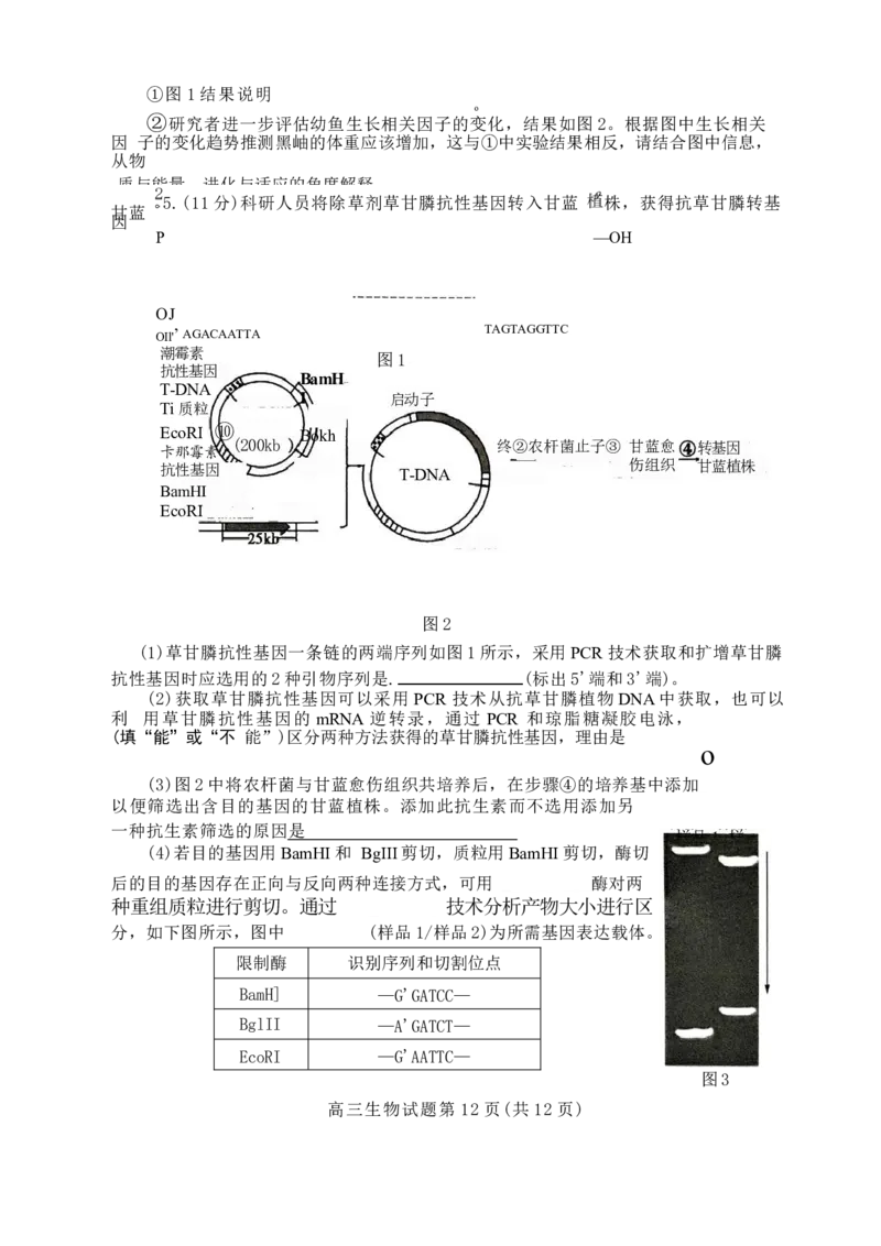 山东省泰安市2024年(届)高三年级四轮检测(泰安四模)生物试卷+答案(1)_2024年5月_025月合集_2024届山东省泰安市高三年级四轮检测