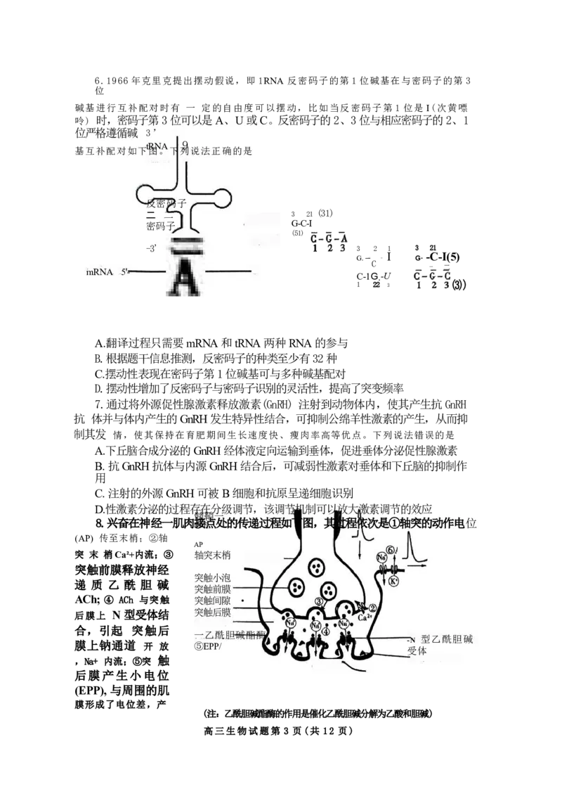 山东省泰安市2024年(届)高三年级四轮检测(泰安四模)生物试卷+答案(1)_2024年5月_025月合集_2024届山东省泰安市高三年级四轮检测