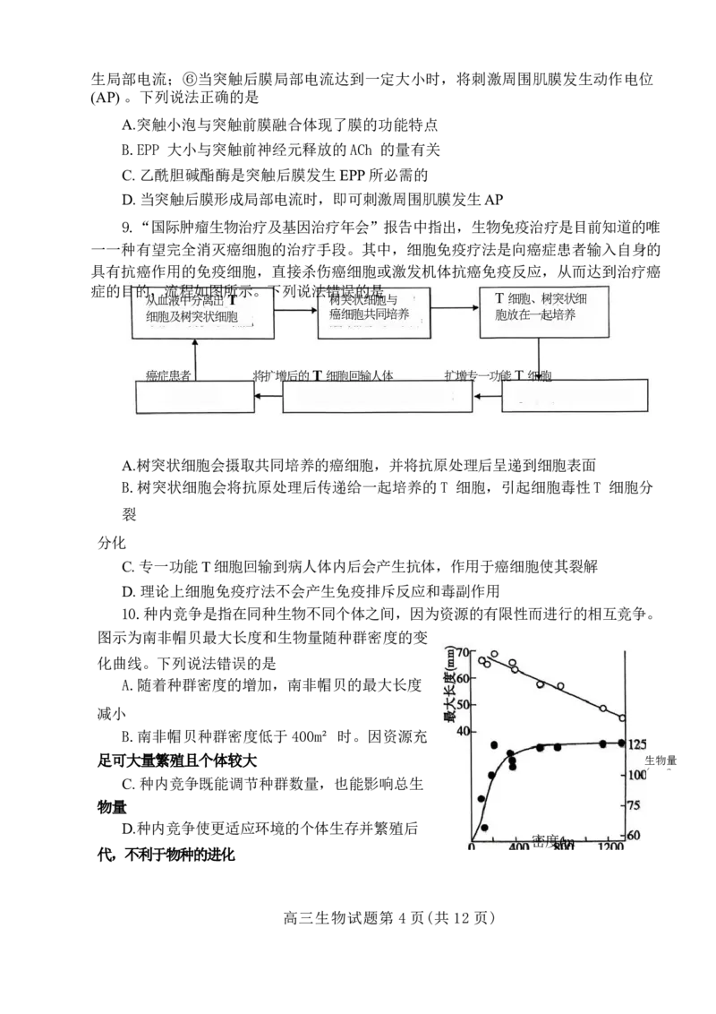 山东省泰安市2024年(届)高三年级四轮检测(泰安四模)生物试卷+答案(1)_2024年5月_025月合集_2024届山东省泰安市高三年级四轮检测
