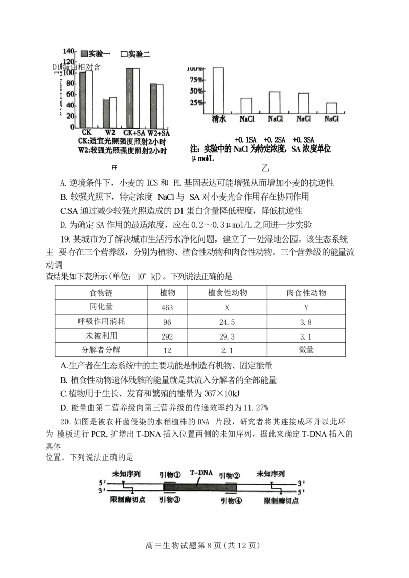 山东省泰安市2024年(届)高三年级四轮检测(泰安四模)生物试卷+答案(1)_2024年5月_025月合集_2024届山东省泰安市高三年级四轮检测
