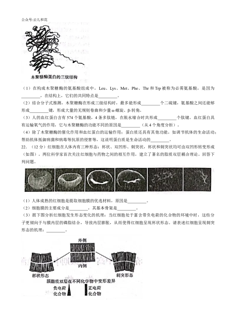 河北省示范性高中2024-2025学年高一上学期11月期中质量检测联合测评生物试题（含解析）_2024-2025高一（7-7月题库）_2024年11月试卷