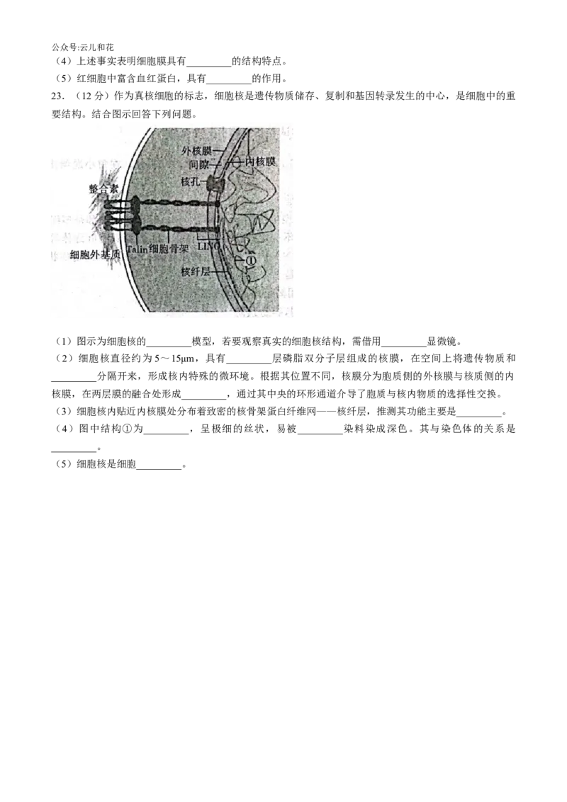 河北省示范性高中2024-2025学年高一上学期11月期中质量检测联合测评生物试题（含解析）_2024-2025高一（7-7月题库）_2024年11月试卷