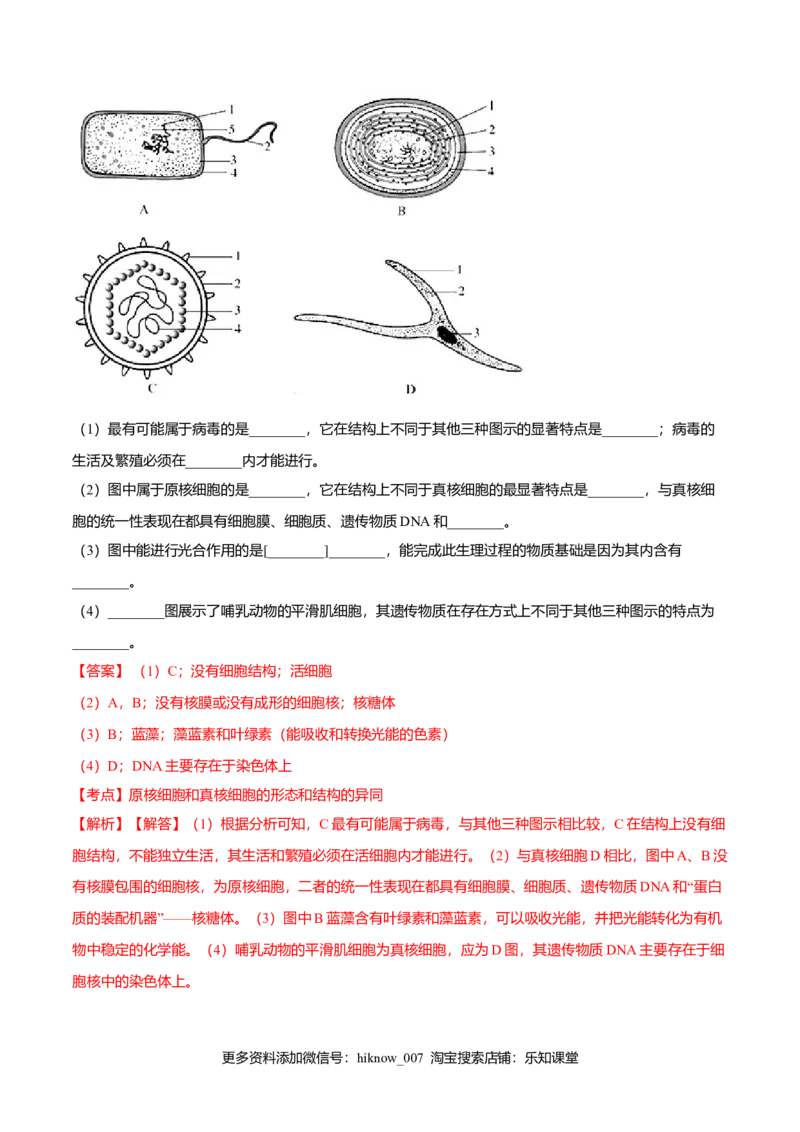第一章章末测试-高一生物课后培优练（人教版2019必修1）（解析版）_E015高中全科试卷_生物试题_必修1_1.单元测试_2.单元测试（第二套）