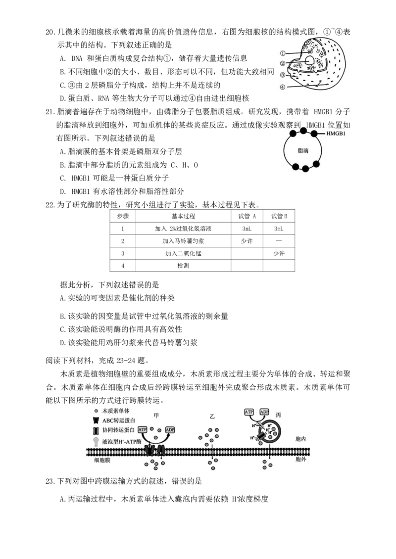 生物试题_2024-2025高一（7-7月题库）_2024年11月试卷_1124浙江省强基联盟2024-2025学年高一上学期11月联考