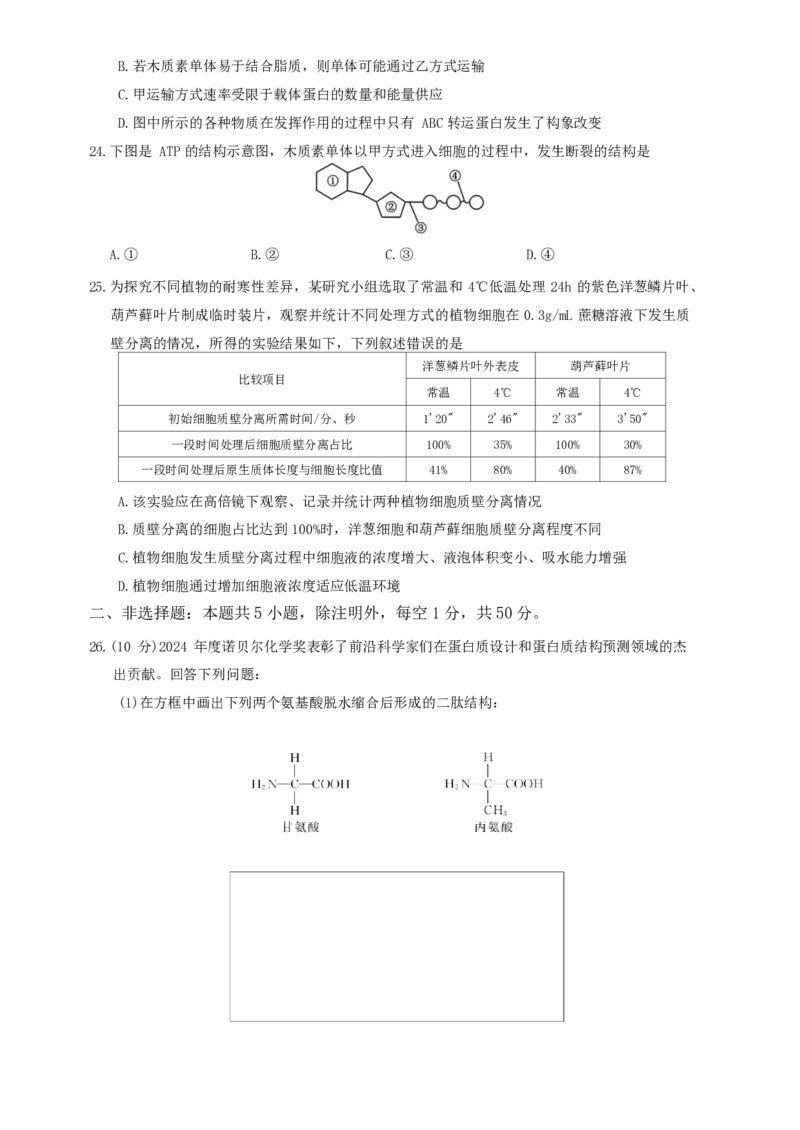 生物试题_2024-2025高一（7-7月题库）_2024年11月试卷_1124浙江省强基联盟2024-2025学年高一上学期11月联考