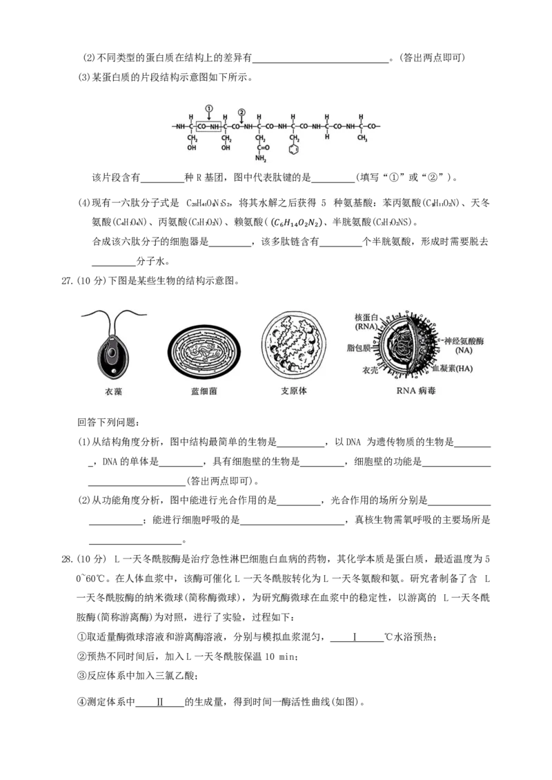 生物试题_2024-2025高一（7-7月题库）_2024年11月试卷_1124浙江省强基联盟2024-2025学年高一上学期11月联考
