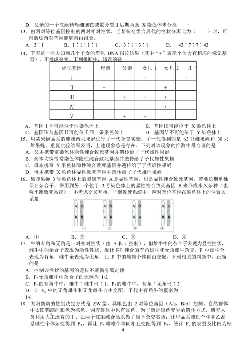 湖北省荆州市沙市中学2024-2025学年高一下学期5月月考生物试题Word版含答案_2024-2025高一（7-7月题库）_2025年05月试卷_0530湖北省荆州市沙市中学2024-2025学年高一下学期5月月考