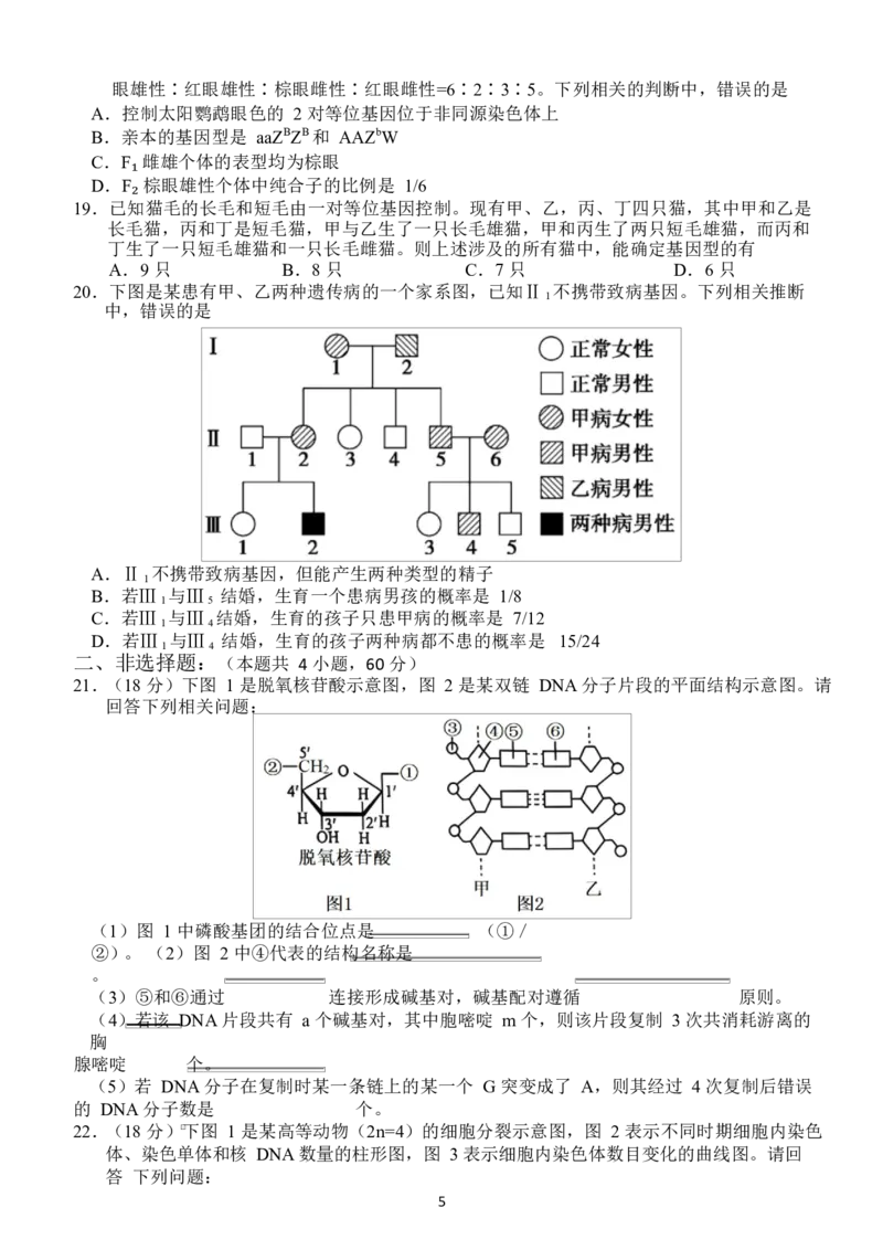 湖北省荆州市沙市中学2024-2025学年高一下学期5月月考生物试题Word版含答案_2024-2025高一（7-7月题库）_2025年05月试卷_0530湖北省荆州市沙市中学2024-2025学年高一下学期5月月考