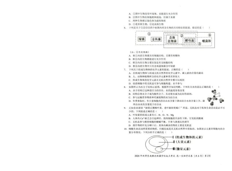 生物-湖北省2024年秋季鄂东南联盟学校高一年级10月起点考试_2024-2025高一（7-7月题库）_2024年10月试卷_1027湖北省2024年秋季鄂东南联盟学校高一年级10月起点考试