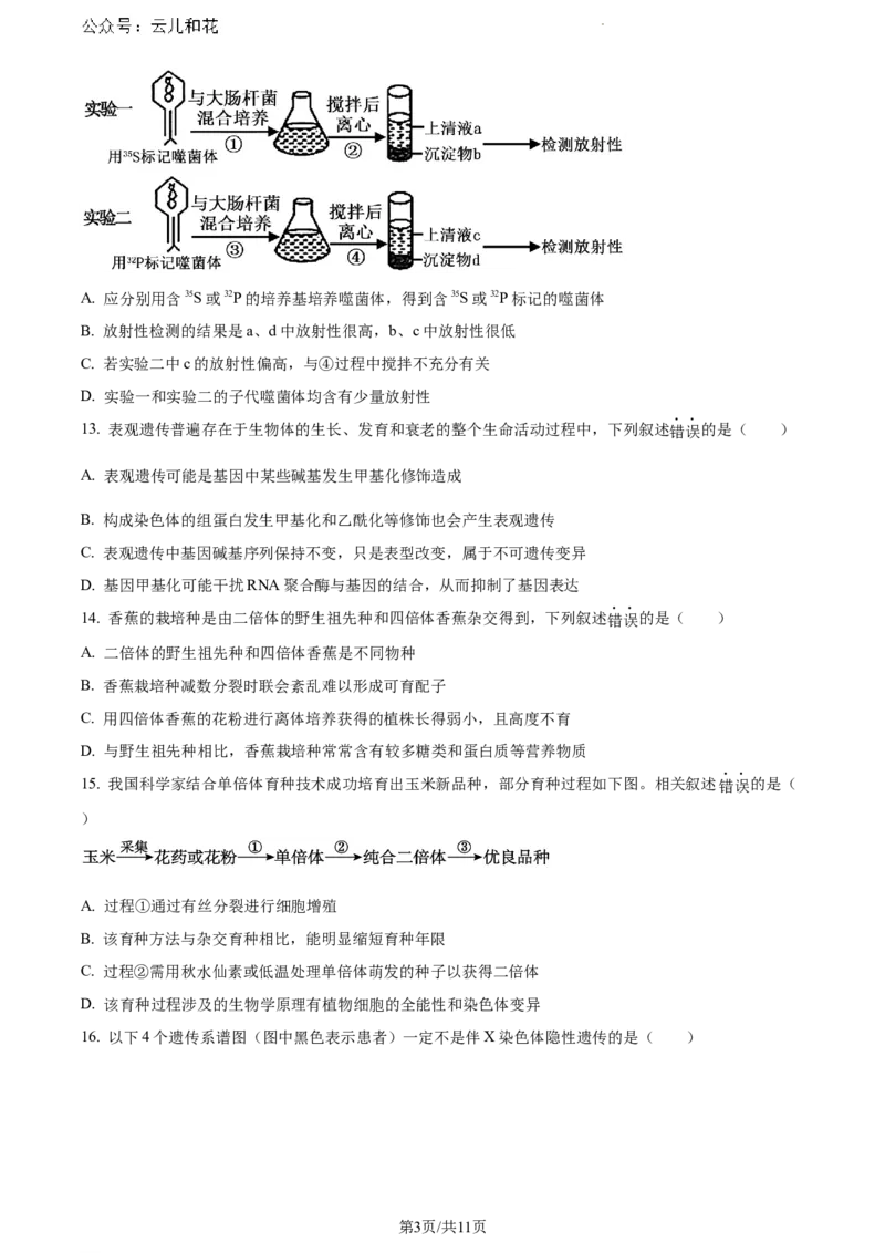 福建省漳州市2023-2024学年高一下学期期末考试生物试题_2024-2025高一（7-7月题库）_2024年8月试卷_0802福建省漳州市2023&mdash;2024学年高一下学期期末考试