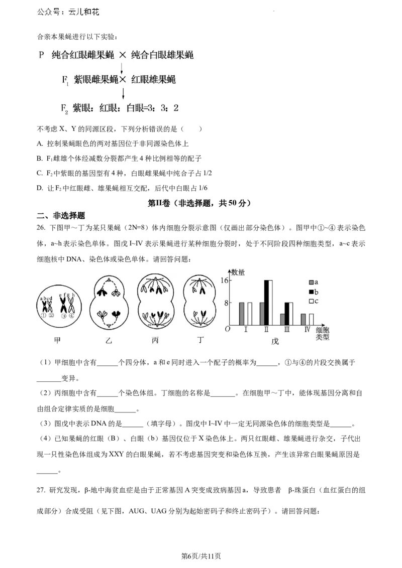福建省漳州市2023-2024学年高一下学期期末考试生物试题_2024-2025高一（7-7月题库）_2024年8月试卷_0802福建省漳州市2023&mdash;2024学年高一下学期期末考试