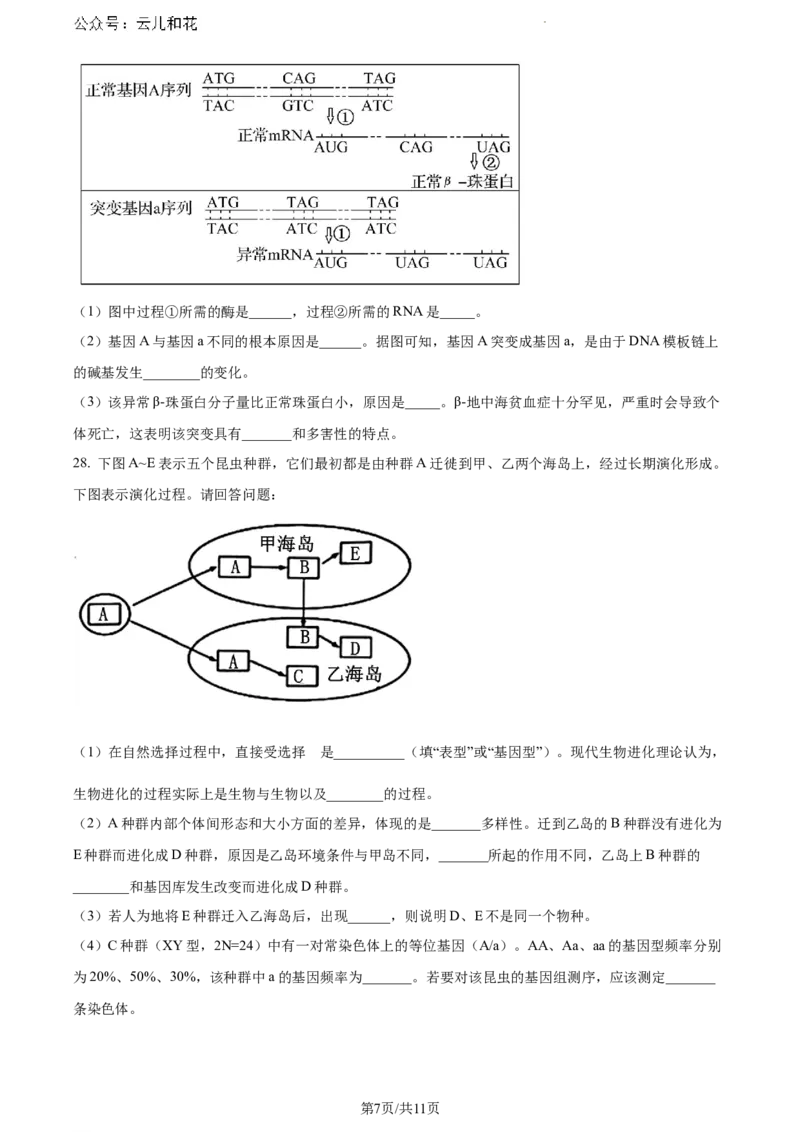 福建省漳州市2023-2024学年高一下学期期末考试生物试题_2024-2025高一（7-7月题库）_2024年8月试卷_0802福建省漳州市2023&mdash;2024学年高一下学期期末考试