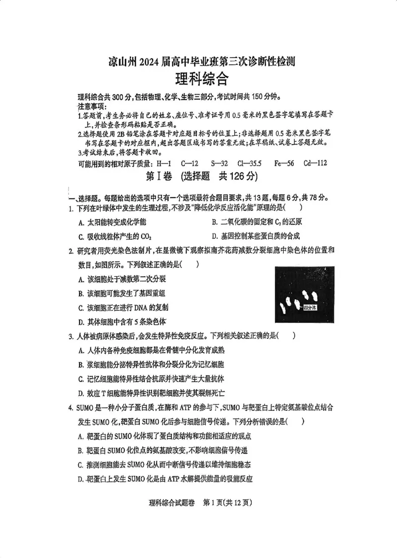 四川省凉山州2024届高中毕业班高三年级第三次诊断性检测(凉山三诊)理科综合试卷(1)_2024年5月_025月合集_2024届四川省凉山州高三第三次诊断性检测(凉山三诊)