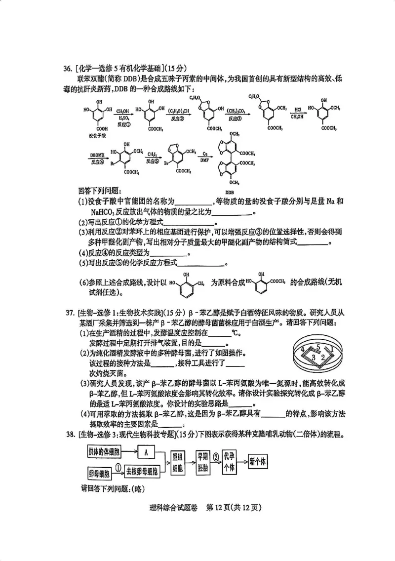 四川省凉山州2024届高中毕业班高三年级第三次诊断性检测(凉山三诊)理科综合试卷(1)_2024年5月_025月合集_2024届四川省凉山州高三第三次诊断性检测(凉山三诊)