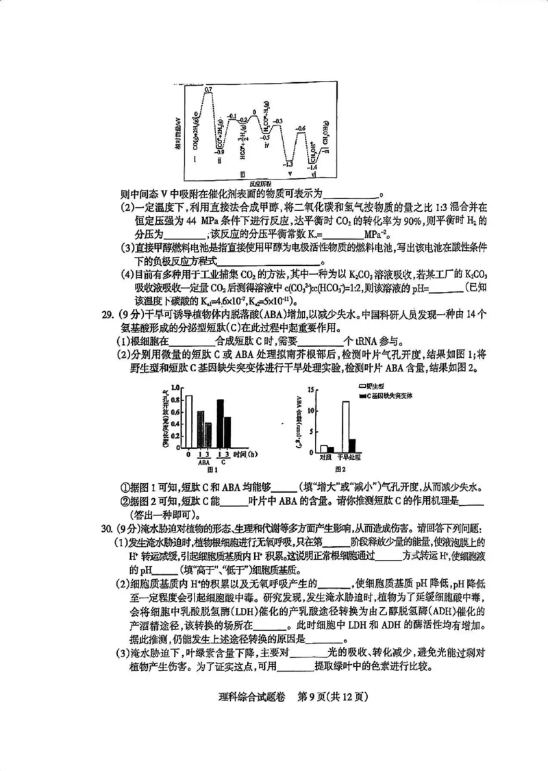 四川省凉山州2024届高中毕业班高三年级第三次诊断性检测(凉山三诊)理科综合试卷(1)_2024年5月_025月合集_2024届四川省凉山州高三第三次诊断性检测(凉山三诊)