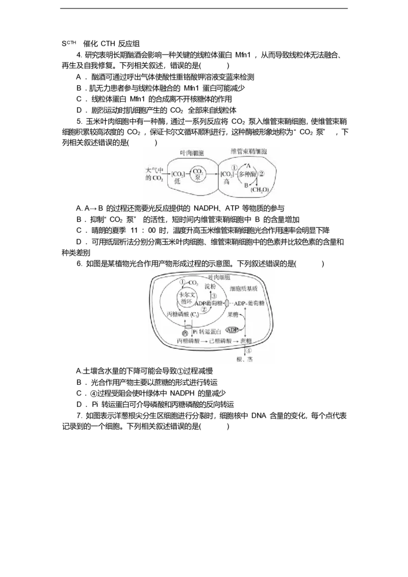 湖北省八校联考2024-2025学年高一下学期6月期末生物试卷（含答案）_2024-2025高一（7-7月题库）_2025年7月_250701湖北省八校联考2024-2025学年高一下学期期末联考
