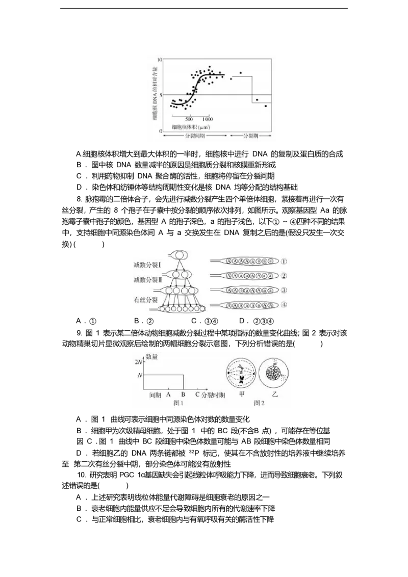 湖北省八校联考2024-2025学年高一下学期6月期末生物试卷（含答案）_2024-2025高一（7-7月题库）_2025年7月_250701湖北省八校联考2024-2025学年高一下学期期末联考