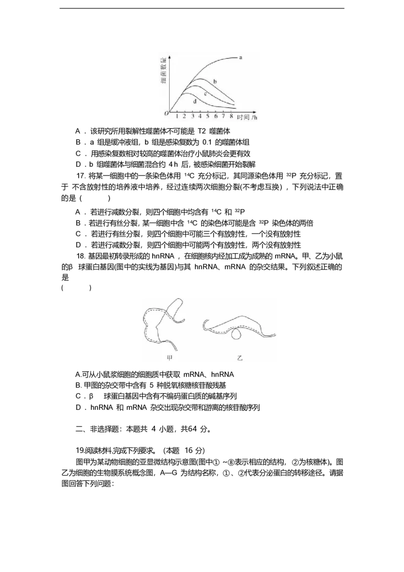 湖北省八校联考2024-2025学年高一下学期6月期末生物试卷（含答案）_2024-2025高一（7-7月题库）_2025年7月_250701湖北省八校联考2024-2025学年高一下学期期末联考