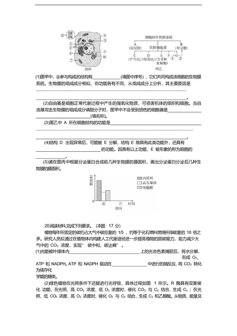湖北省八校联考2024-2025学年高一下学期6月期末生物试卷（含答案）_2024-2025高一（7-7月题库）_2025年7月_250701湖北省八校联考2024-2025学年高一下学期期末联考