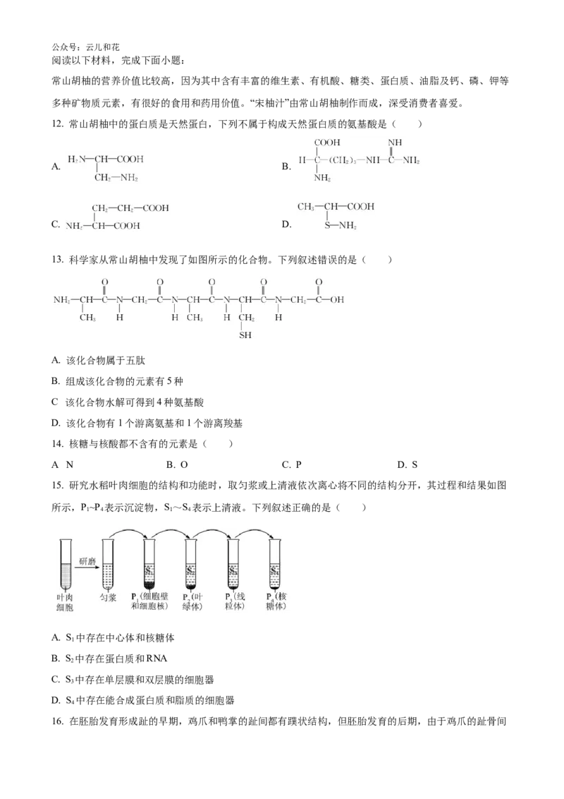 浙江省强基联盟2024-2025学年高一上学期10月联考试题生物Word版含答案_2024-2025高一（7-7月题库）_2024年10月试卷_1028浙江省强基联盟2024-2025学年高一上学期10月联考考试