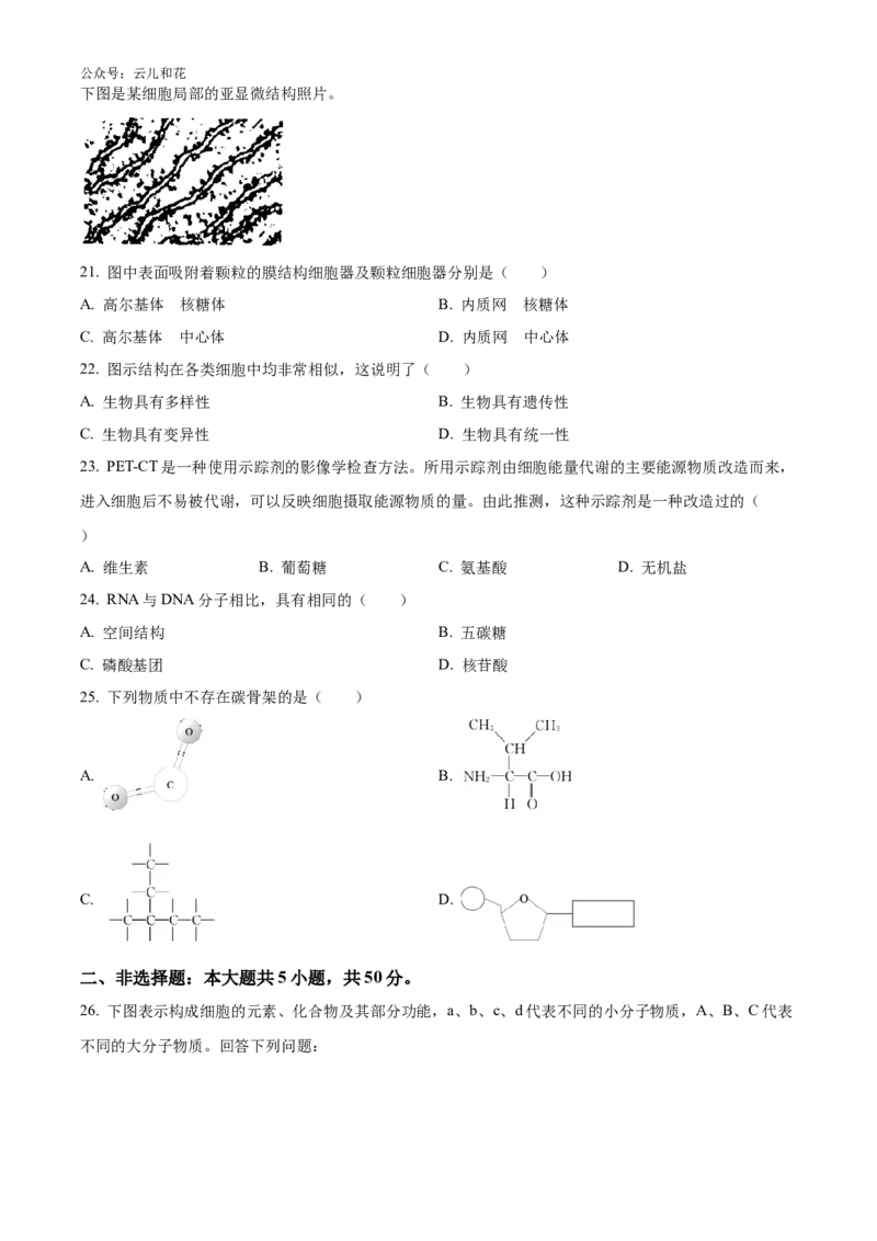 浙江省强基联盟2024-2025学年高一上学期10月联考试题生物Word版含答案_2024-2025高一（7-7月题库）_2024年10月试卷_1028浙江省强基联盟2024-2025学年高一上学期10月联考考试