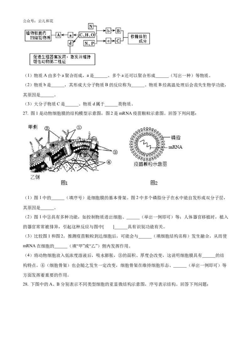 浙江省强基联盟2024-2025学年高一上学期10月联考试题生物Word版含答案_2024-2025高一（7-7月题库）_2024年10月试卷_1028浙江省强基联盟2024-2025学年高一上学期10月联考考试