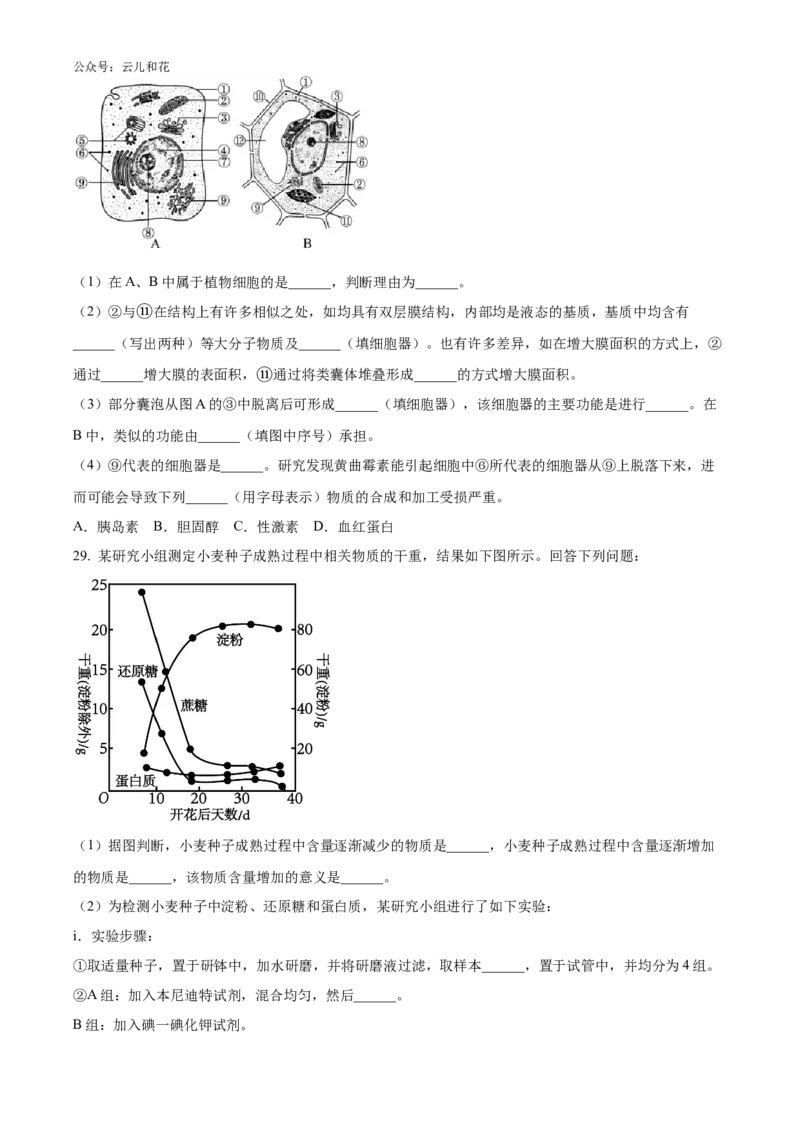 浙江省强基联盟2024-2025学年高一上学期10月联考试题生物Word版含答案_2024-2025高一（7-7月题库）_2024年10月试卷_1028浙江省强基联盟2024-2025学年高一上学期10月联考考试