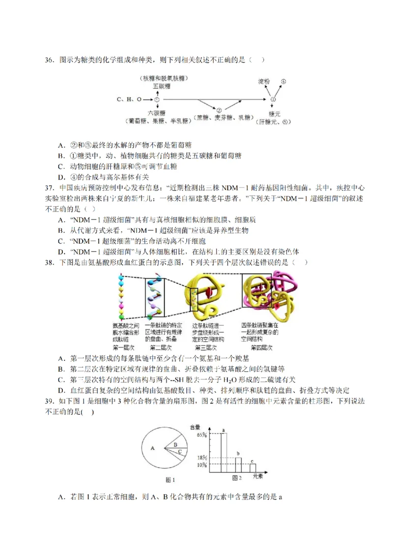 生物-黑龙江省哈尔滨市师大附中2024级高一上学期10月阶段性考试_2024-2025高一（7-7月题库）_2024年10月试卷_1027黑龙江省哈尔滨市师大附中2024级高一上学期10月阶段性考试