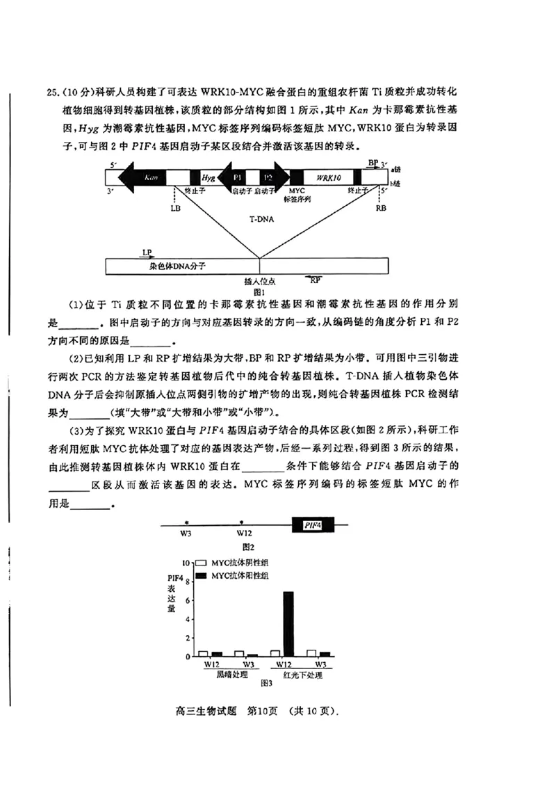 扫描件_2024年3月济南市高三模拟考试（生物）(2)_2024年3月_013月合集_2024届山东省济南市3月高三模拟考试_山东省济南市2024年3月高三模拟考试生物