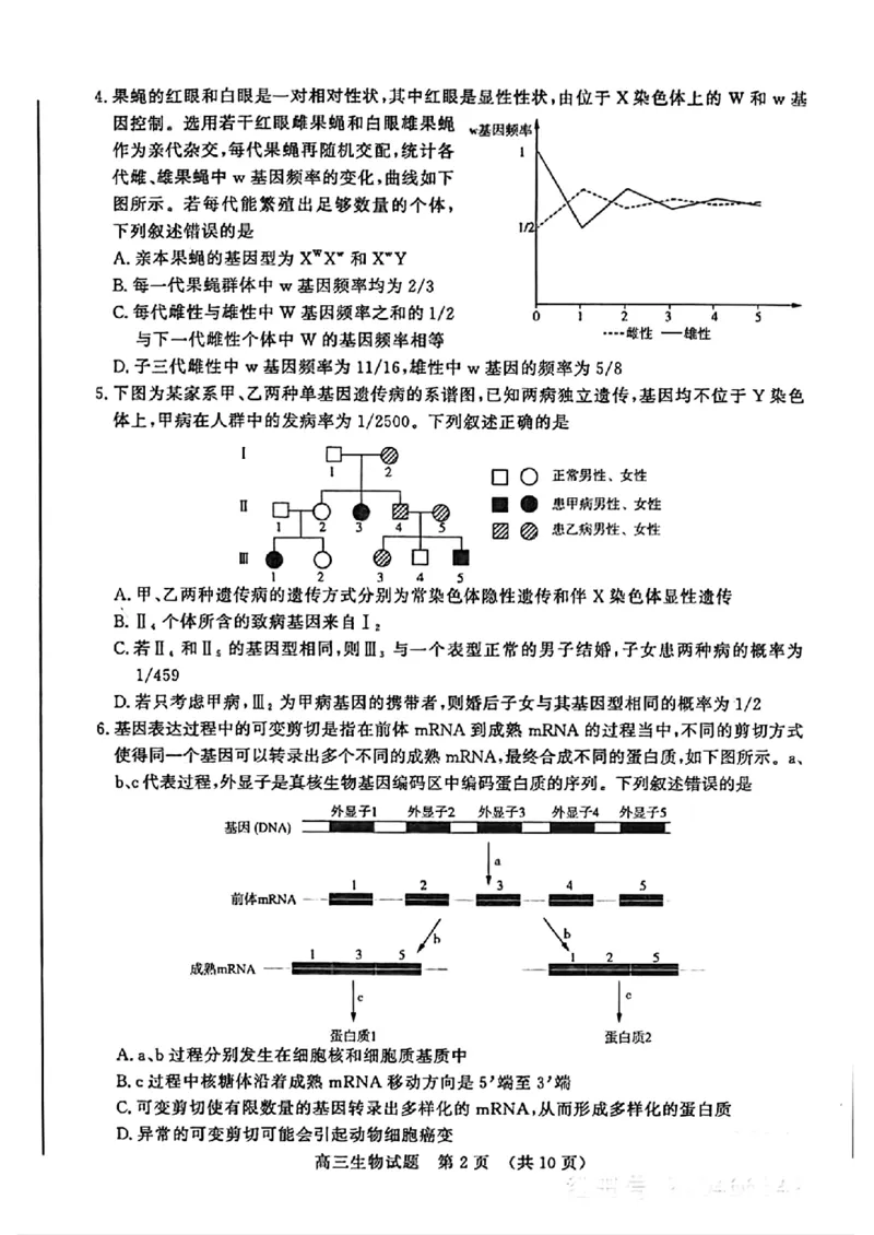 扫描件_2024年3月济南市高三模拟考试（生物）(2)_2024年3月_013月合集_2024届山东省济南市3月高三模拟考试_山东省济南市2024年3月高三模拟考试生物