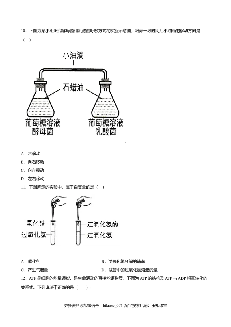 第五章章末测试-高一生物课后培优练（人教版2019必修1）（原卷版）_E015高中全科试卷_生物试题_必修1_1.单元测试_2.单元测试（第二套）