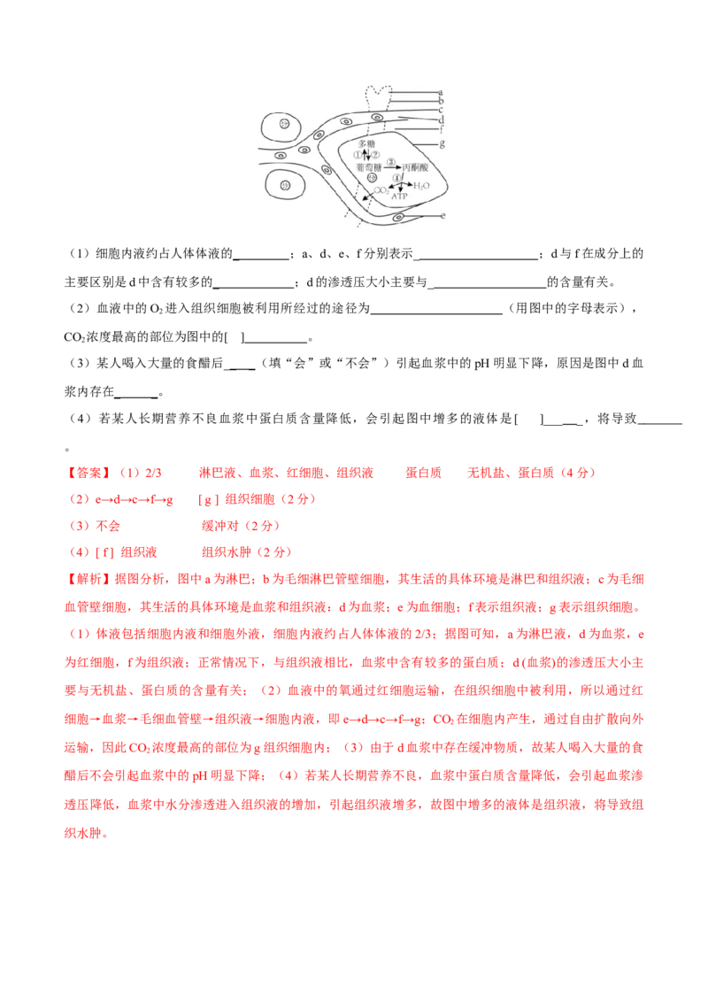 第1章人体的内环境与稳态（测试卷）-2022-2023学年高二生物章末检测卷（人教版2019选择性必修1）（解析版）_E015高中全科试卷_生物试题_选修1_1.单元测试_1.单元测试2023年