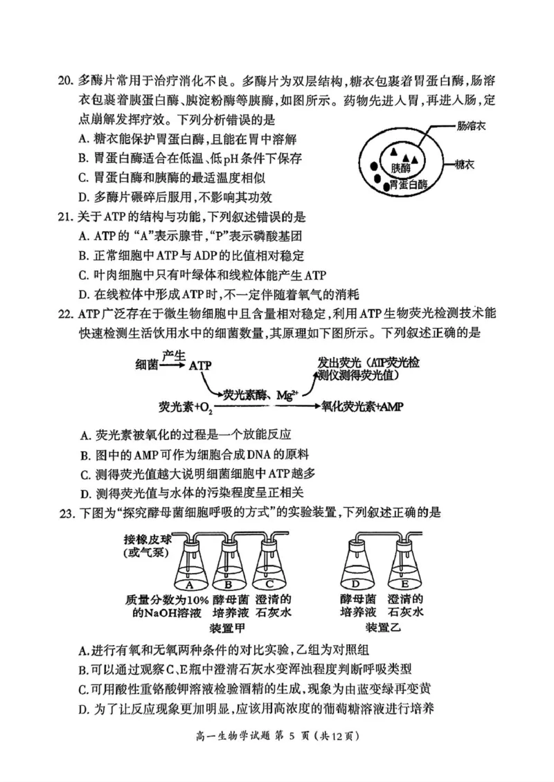 福建省三明市2024-2025学年高一上学期1月期末生物试题（PDF版，含答案）_2024-2025高一（7-7月题库）_2025年02月试卷_0227福建省三明市2024-2025学年高一上学期1月期末考试