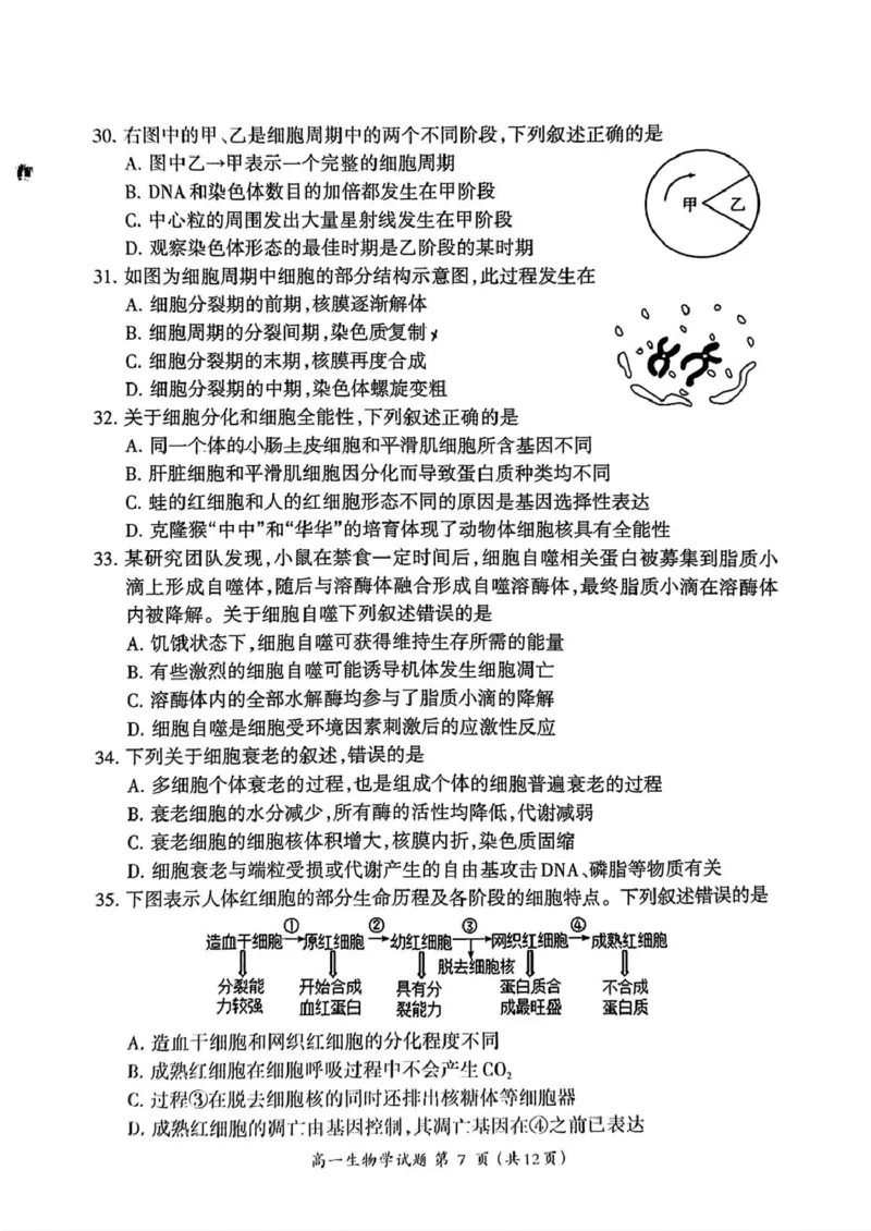 福建省三明市2024-2025学年高一上学期1月期末生物试题（PDF版，含答案）_2024-2025高一（7-7月题库）_2025年02月试卷_0227福建省三明市2024-2025学年高一上学期1月期末考试