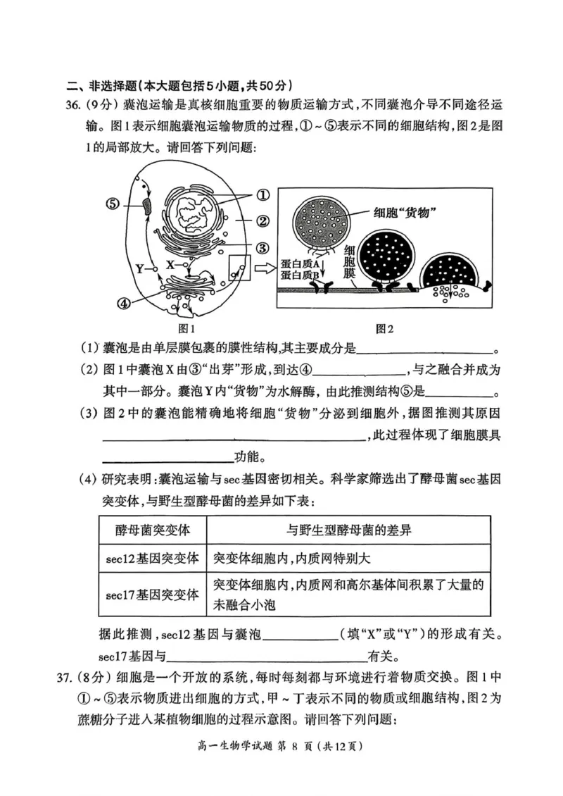 福建省三明市2024-2025学年高一上学期1月期末生物试题（PDF版，含答案）_2024-2025高一（7-7月题库）_2025年02月试卷_0227福建省三明市2024-2025学年高一上学期1月期末考试