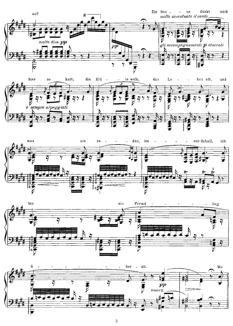 DerWanderer(Schubert)_一万首著名钢琴曲谱哈农贝多芬合集视频教学电子版高清无水印可打印_1古典钢琴知名音乐家谱_李斯特钢琴谱全集_改编舒伯特