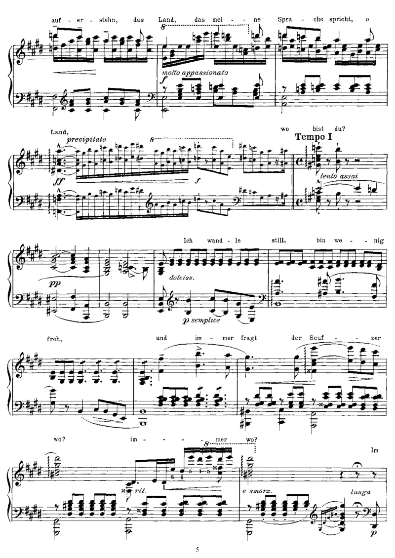 DerWanderer(Schubert)_一万首著名钢琴曲谱哈农贝多芬合集视频教学电子版高清无水印可打印_1古典钢琴知名音乐家谱_李斯特钢琴谱全集_改编舒伯特