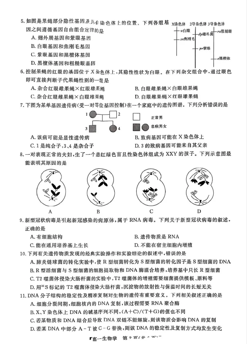 河北省邯郸市2024-2025学年高一下学期4月期中考试生物PDF版含解析_2024-2025高一（7-7月题库）_2025年05月试卷_0530河北省邯郸市2024-2025学年高一下学期4月期中考试