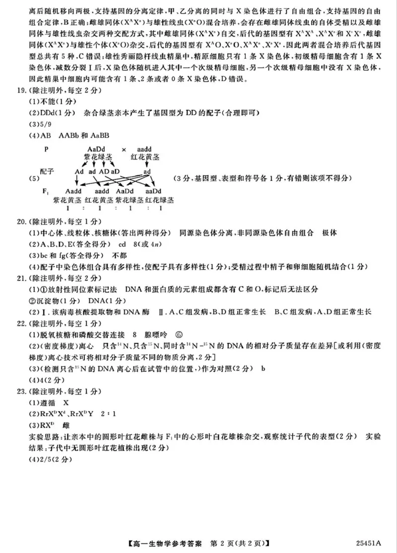 河北省邯郸市2024-2025学年高一下学期4月期中考试生物PDF版含解析_2024-2025高一（7-7月题库）_2025年05月试卷_0530河北省邯郸市2024-2025学年高一下学期4月期中考试