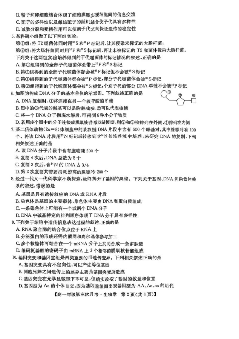 河北省沧州市四县多校联考2024-2025学年高一下学期（6月）第三次月考生物试卷（图片版，无答案）_2024-2025高一（7-7月题库）_2025年6月7.10新增