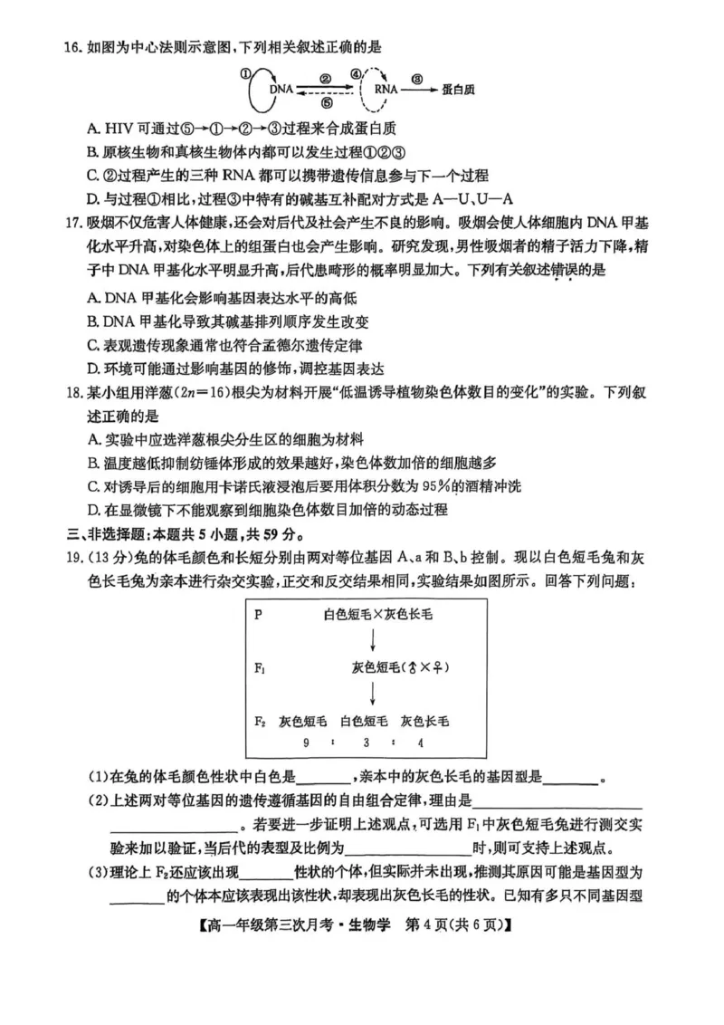 河北省沧州市四县多校联考2024-2025学年高一下学期（6月）第三次月考生物试卷（图片版，无答案）_2024-2025高一（7-7月题库）_2025年6月7.10新增