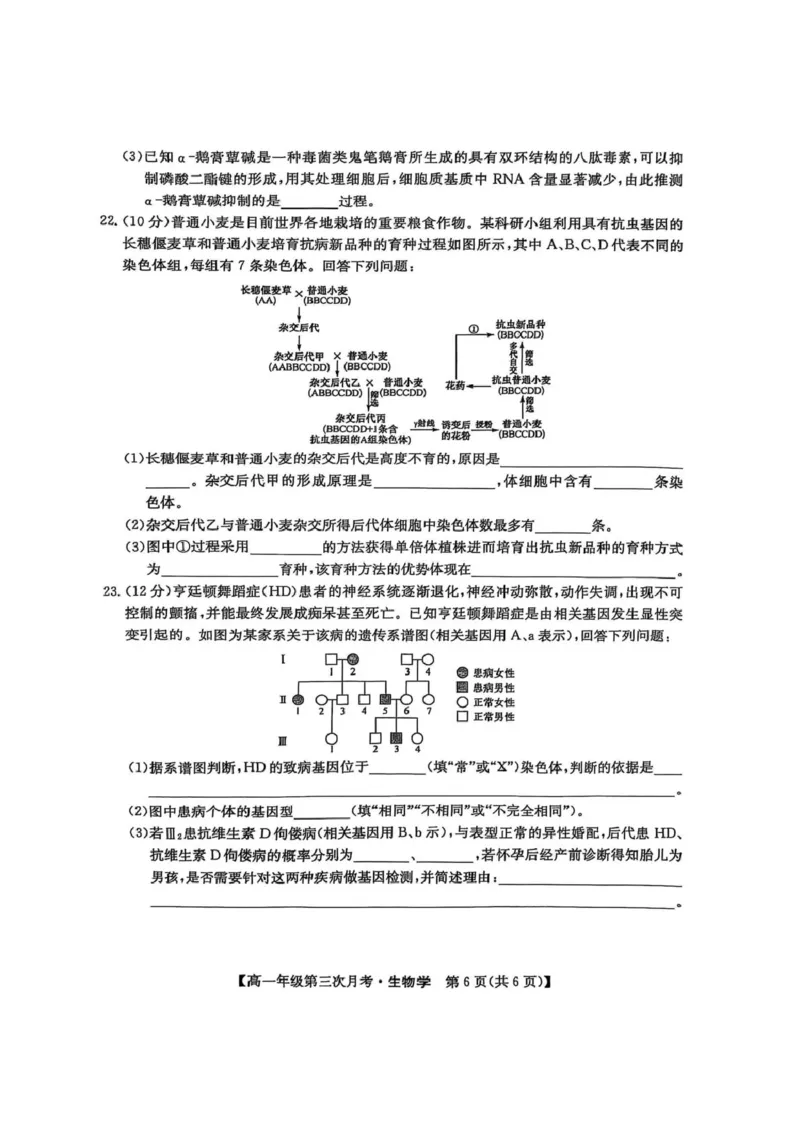 河北省沧州市四县多校联考2024-2025学年高一下学期（6月）第三次月考生物试卷（图片版，无答案）_2024-2025高一（7-7月题库）_2025年6月7.10新增