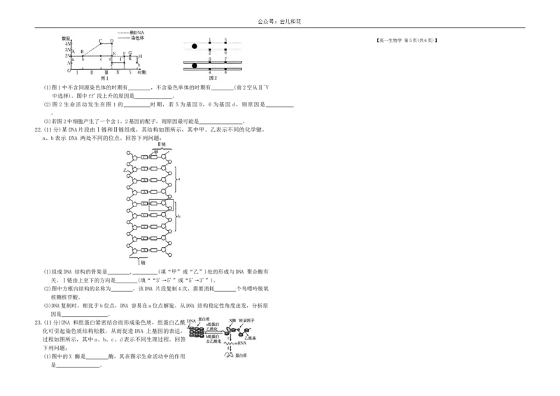 河南省新乡市2023-2024学年高一下学期期末考试生物试题_2024-2025高一（7-7月题库）_2024年8月试卷_0813河南省新乡市2023-2024学年高一下学期期末测试（金太阳601A）