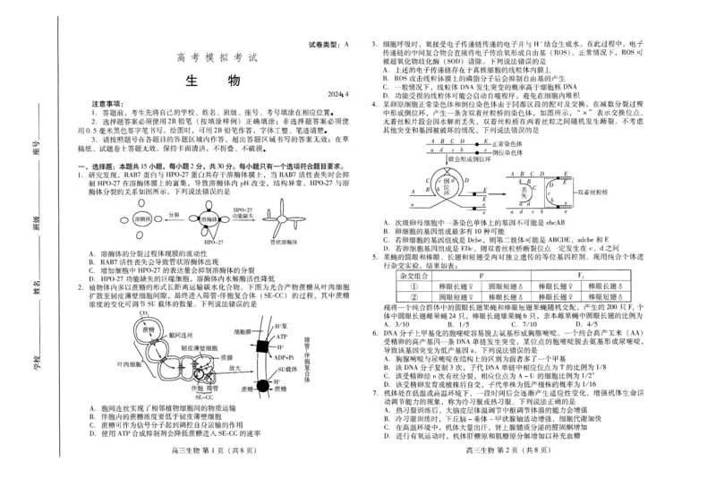 山东省滨潍坊市2023-2024学年高三下学期4月份高考模拟生物试卷(1)_2024年5月_025月合集_2024届山东省潍坊市高三下学期二模