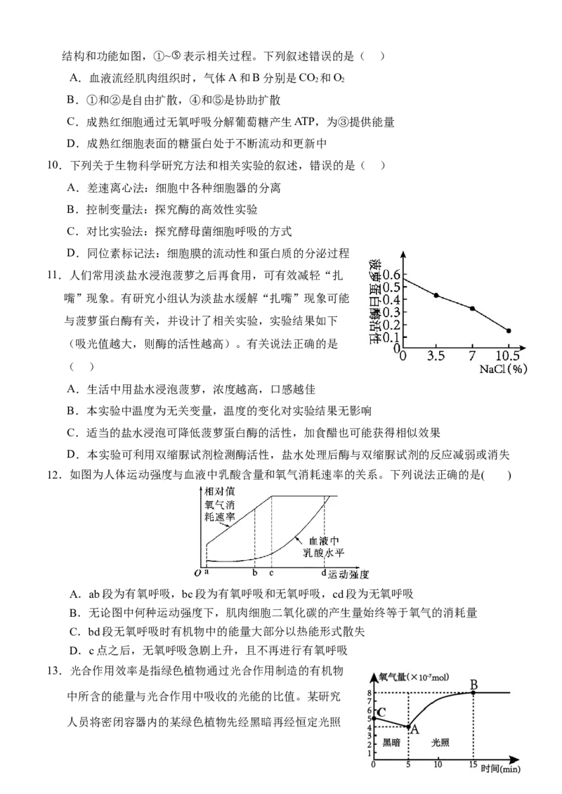 湖北省荆州市沙市中学2024-2025学年高一下学期3月月考生物试题（含答案）_2024-2025高一（7-7月题库）_2025年04月试卷_0423湖北省荆州市沙市中学2024-2025学年高一下学期3月月考