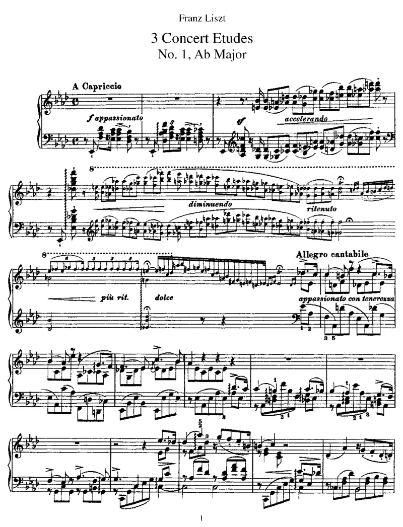 3ConcertEtudes_一万首著名钢琴曲谱哈农贝多芬合集视频教学电子版高清无水印可打印_1古典钢琴知名音乐家谱_李斯特钢琴谱全集_各种练习曲！！！！